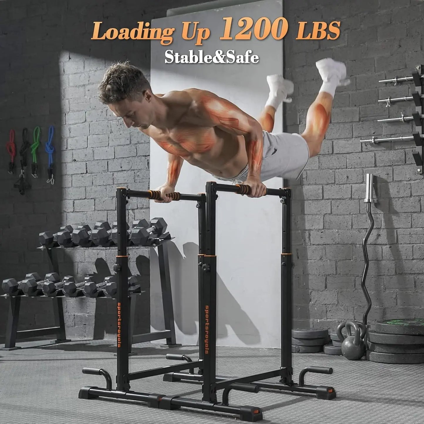 Adjustable Dip Stands Station for Home