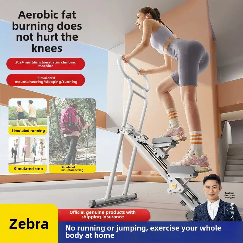 Multifunctional climbing machine