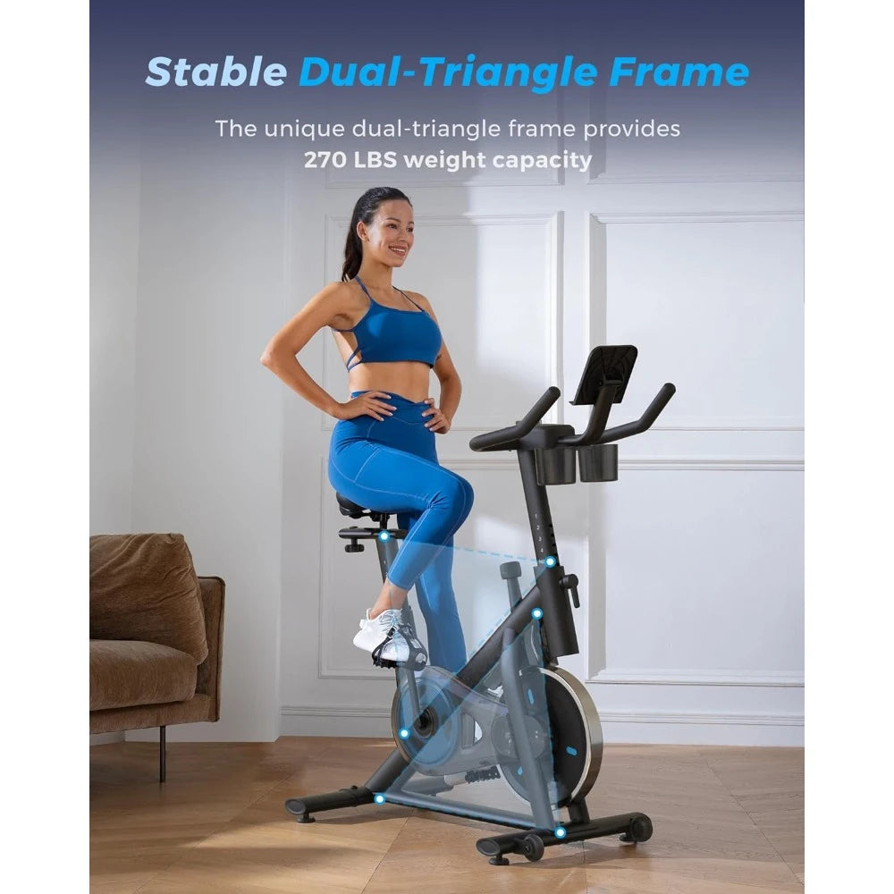 Low Noise Magnetic Stationary Bike
