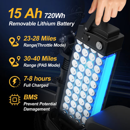 Folding Electric Bike 19 MPH Speed 30 Miles Long Range 48V 20AH/15AH/10Ah Battery,500W Motor, Compact Portable E-Bike for Adults