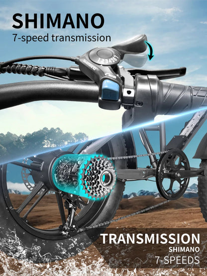 Deepower Electric Bike QS7 1000W 48V 60AH 20 Inch Fat Tire