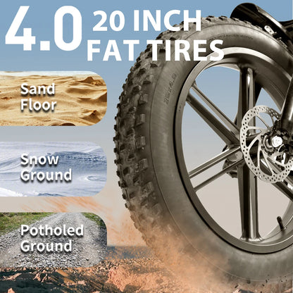 Deepower Electric Bike QS7 1000W 48V 60AH 20 Inch Fat Tire