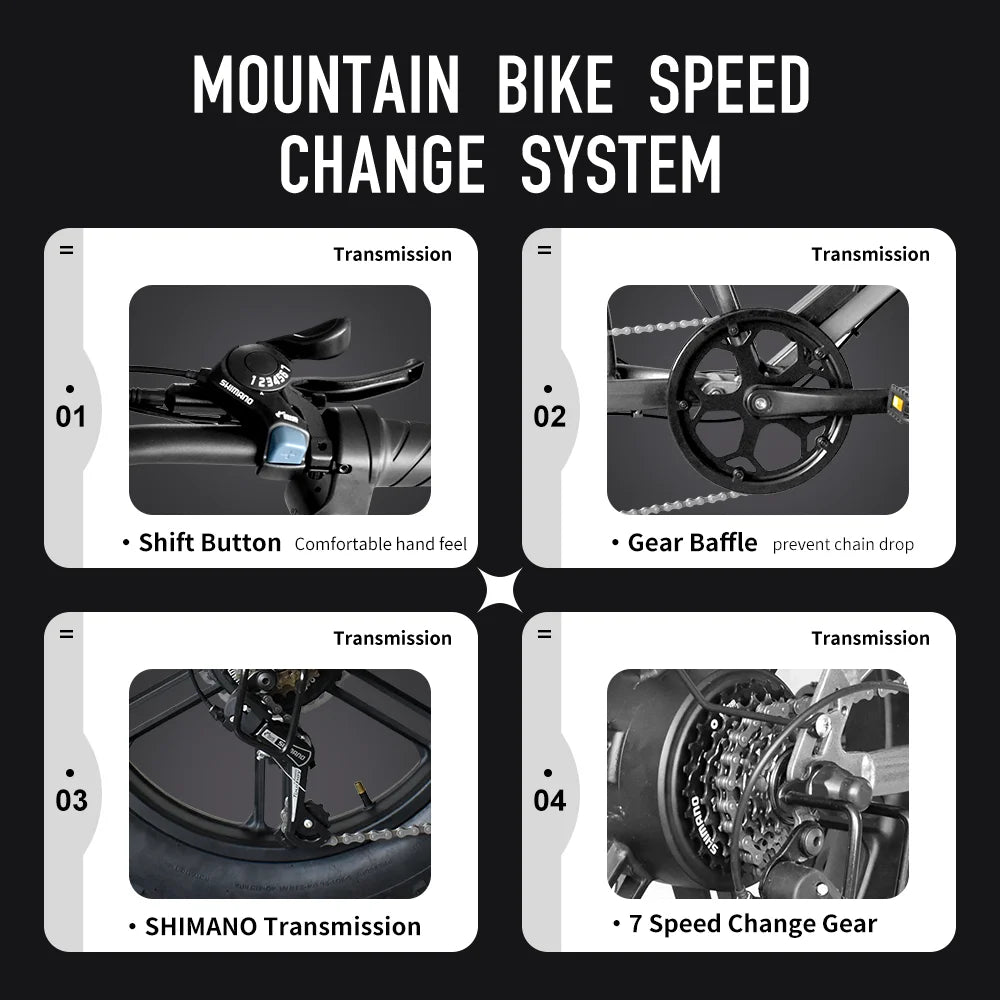 Deepower Electric Bike QS7 1000W 48V 60AH 20 Inch Fat Tire