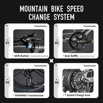 Deepower Electric Bike QS7 1000W 48V 60AH 20 Inch Fat Tire