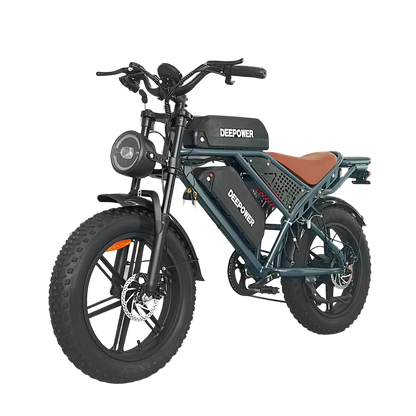 Deepower Electric Bike QS7 1000W 48V 60AH 20 Inch Fat Tire
