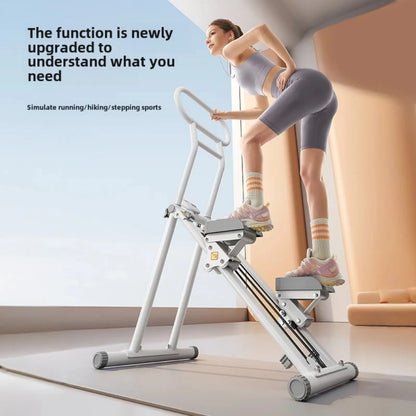 Multifunctional climbing machine